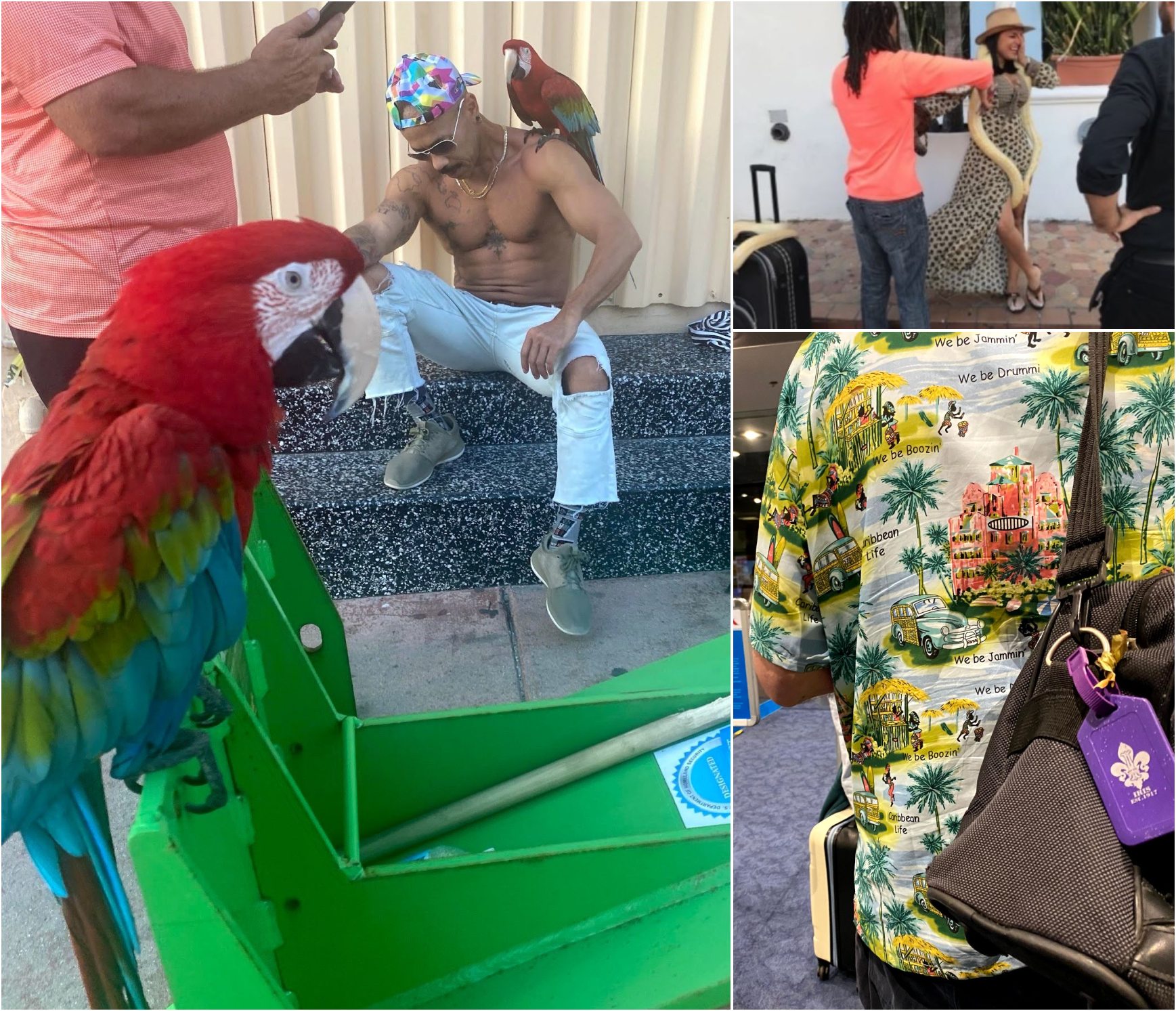 Left & top: Small businessmen have set up shop on the streets of Miami Beach, selling access to their pet parrots and snakes so that tourists can take pictures with them.  Bottom: Read his shirt closely. Photo taken at Miami Airport.